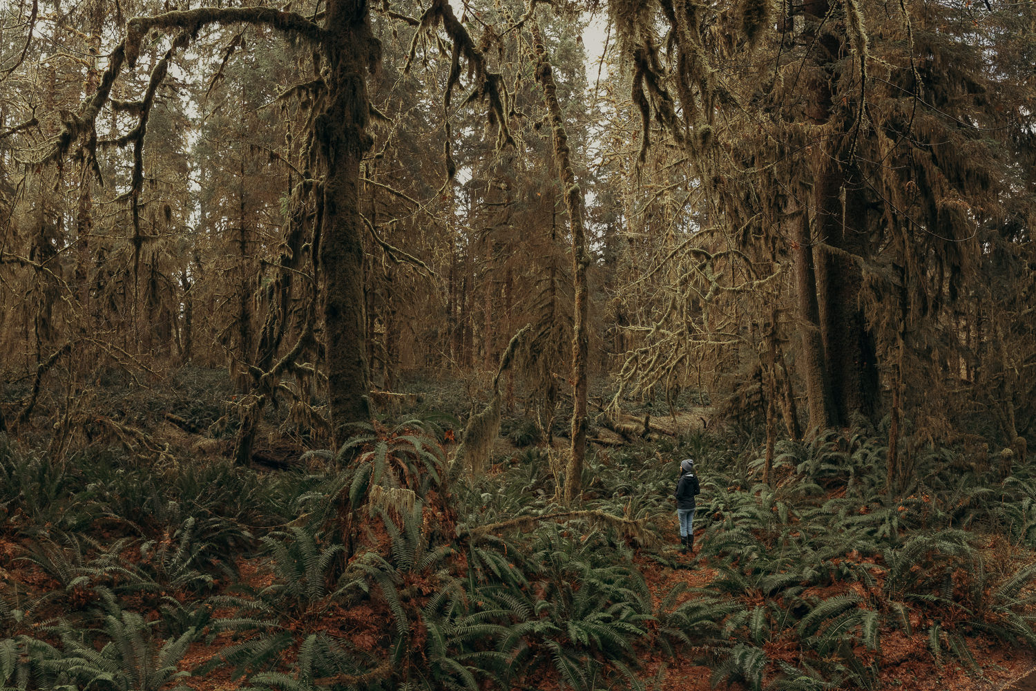 JM4_9491-Pano