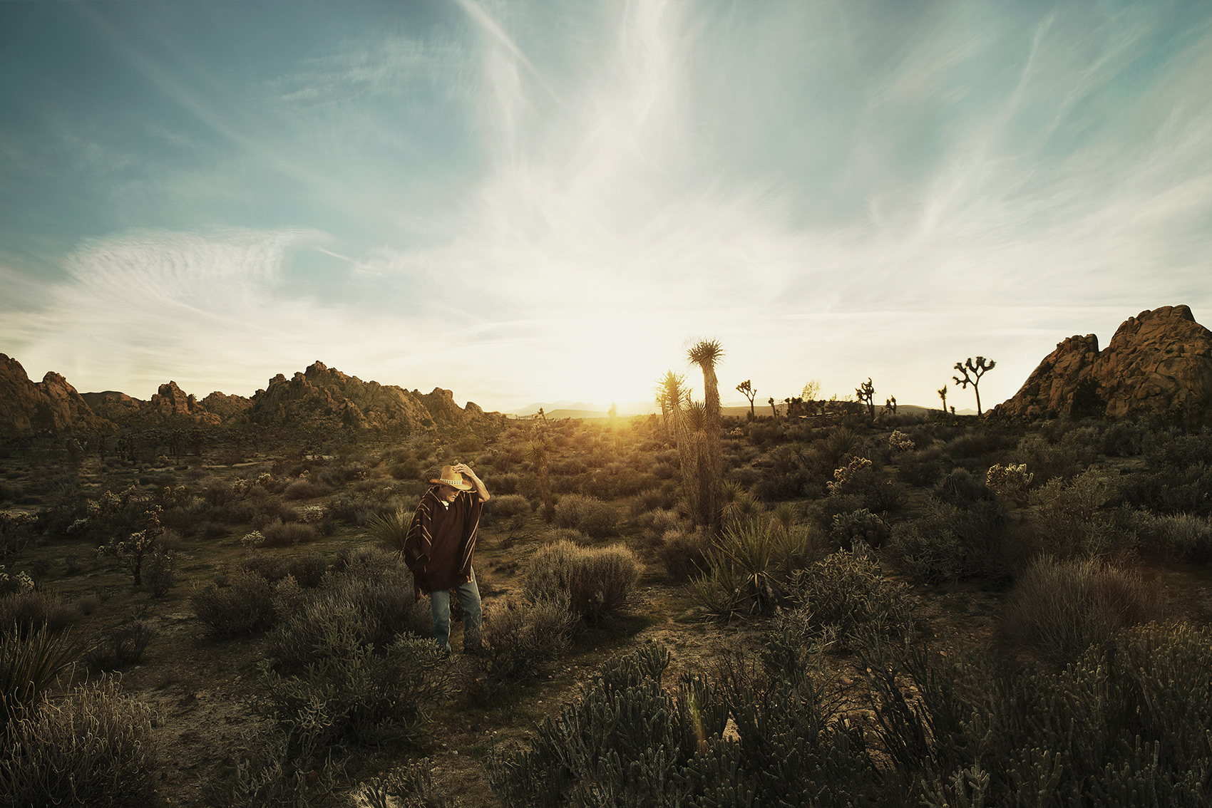 Justin James Muir - Joshua Tree 2